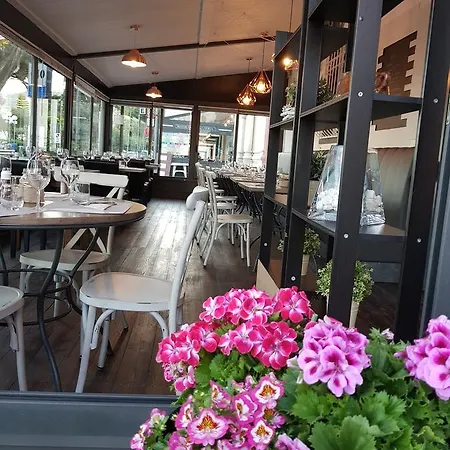 Vela Bianca H & R Hotel Diano Marina